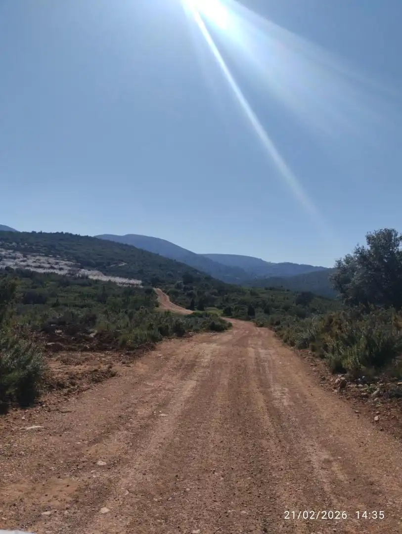 Finca rústica en venda a Calle Eras, 33, Llucena / Lucena del Cid Finca rústica en venda en Llucena / Lucena del Cid