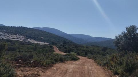 Finca rústica en venda a Calle Eras, 33, Llucena / Lucena del Cid, Castellón - imatge 3 Foto 3 de Finca rústica en venda a Calle Eras, 33, Llucena / Lucena del Cid, Castellón