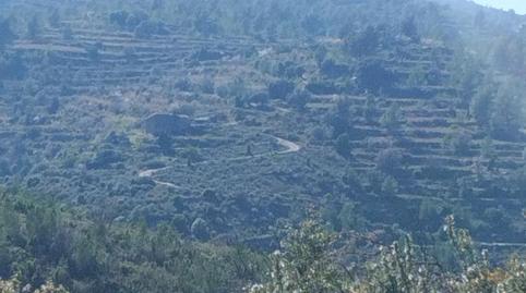 Finca rústica en venda a Calle Eras, 33, Llucena / Lucena del Cid, Castellón - imatge 4 Foto 4 de Finca rústica en venda a Calle Eras, 33, Llucena / Lucena del Cid, Castellón