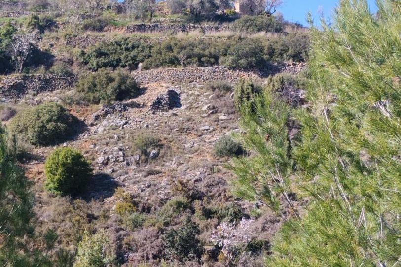 Finca rústica en venda a Calle Eras, 33, Llucena / Lucena del Cid, Castellón - imatge 1 Foto 1 de Finca rústica en venda a Calle Eras, 33, Llucena / Lucena del Cid, Castellón