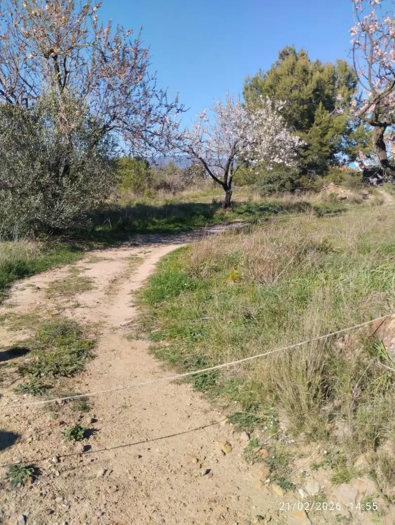 Finca rústica en venda a Calle Eras, 33, Llucena / Lucena del Cid Finca rústica en venda en Llucena / Lucena del Cid
