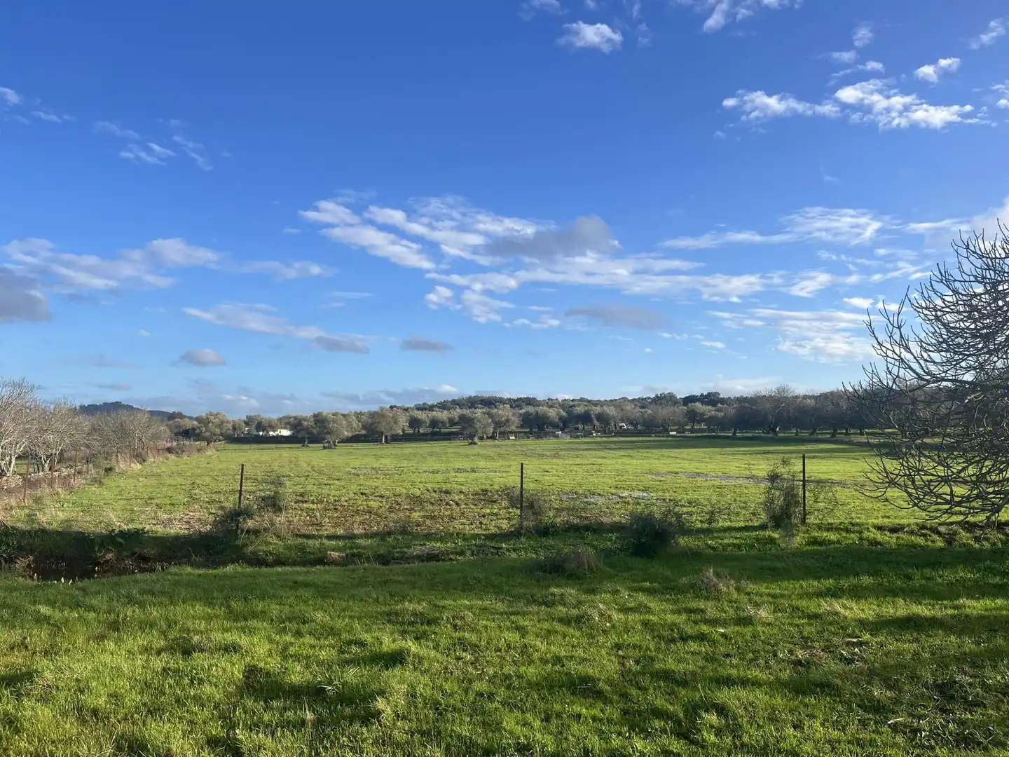 Finca rústica en venta en Calle Iglesia, 6, Segura de León Finca rústica en venta en Segura de León con Jardín privado y Balcón