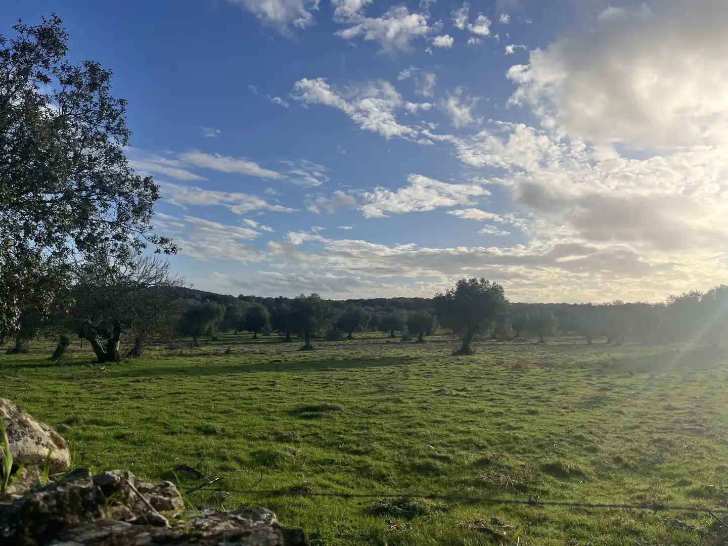 Finca rústica en venta en Calle Iglesia, 6, Segura de León Finca rústica en venta en Segura de León con Jardín privado y Balcón