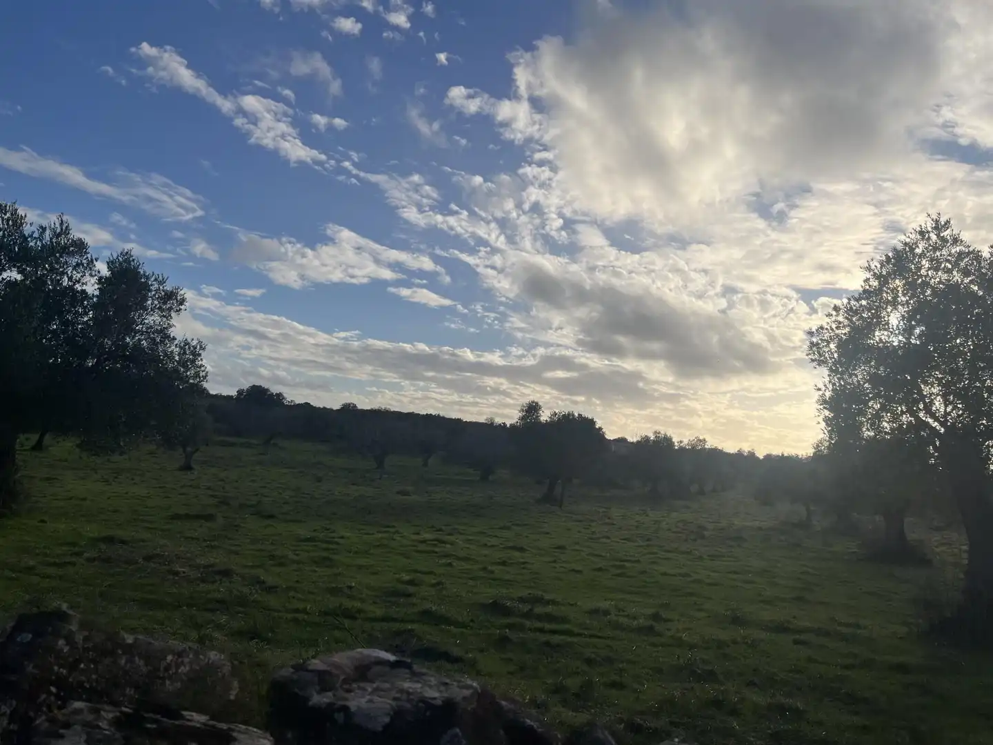 Finca rústica en venta en Calle Iglesia, 6, Segura de León Finca rústica en venta en Segura de León con Jardín privado y Balcón