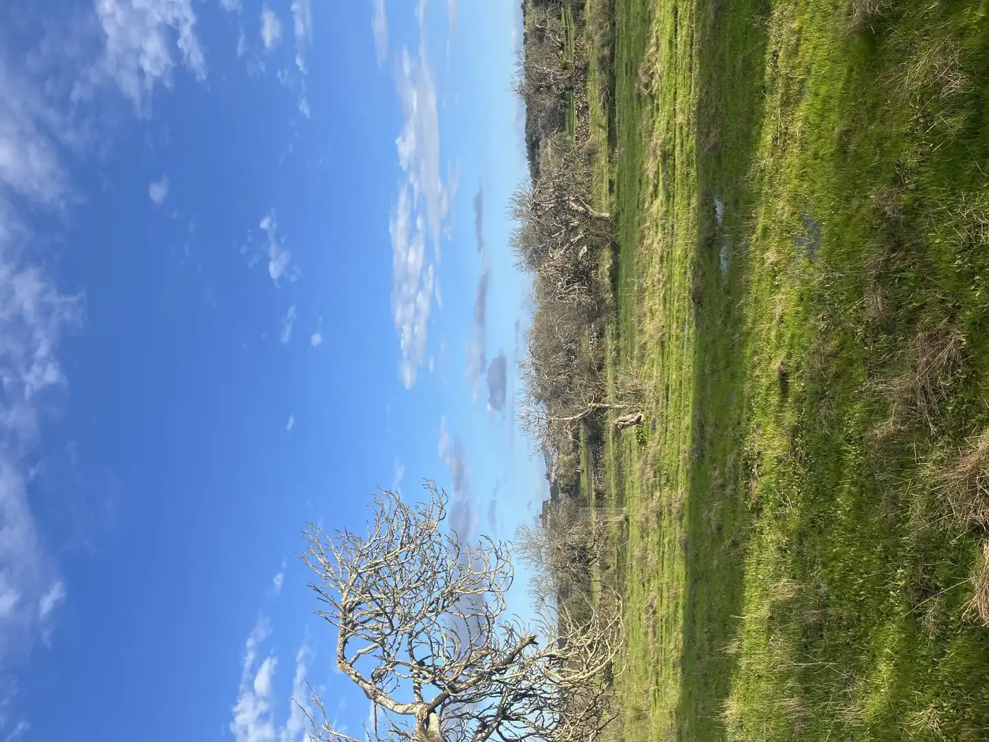 Finca rústica en venta en Calle Iglesia, 6, Segura de León Finca rústica en venta en Segura de León con Jardín privado y Balcón