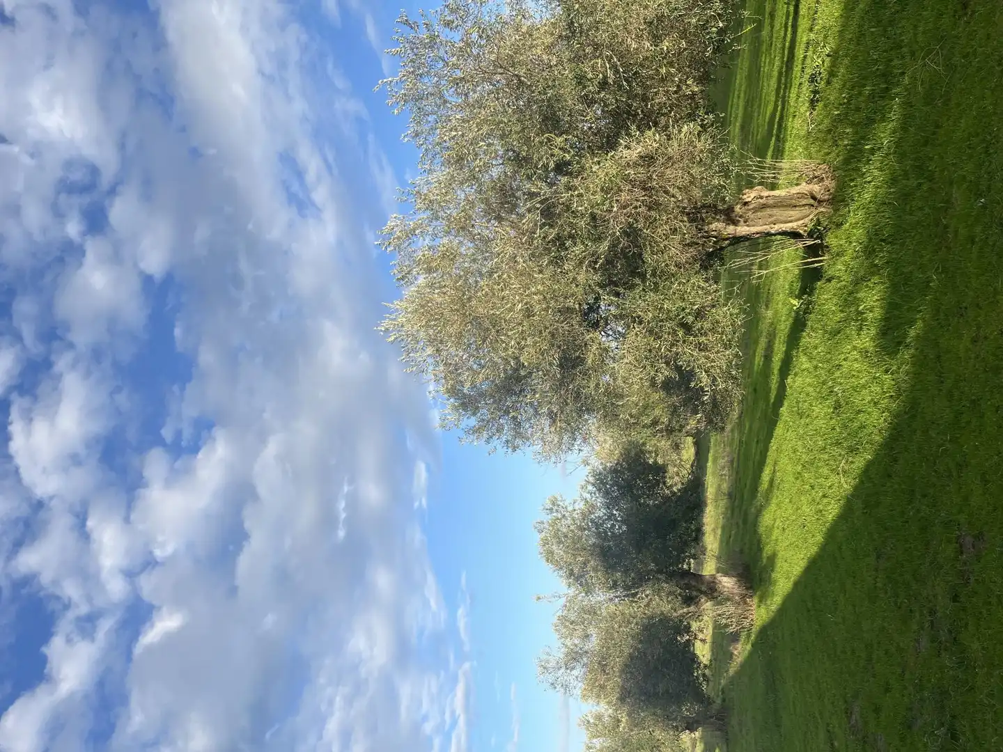 Finca rústica en venta en Calle Iglesia, 6, Segura de León Finca rústica en venta en Segura de León con Jardín privado y Balcón