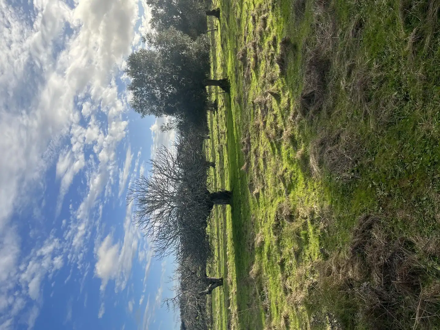 Finca rústica en venta en Calle Iglesia, 6, Segura de León Finca rústica en venta en Segura de León con Jardín privado y Balcón