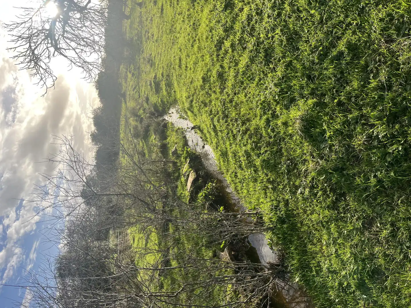 Finca rústica en venta en Calle Iglesia, 6, Segura de León Finca rústica en venta en Segura de León con Jardín privado y Balcón