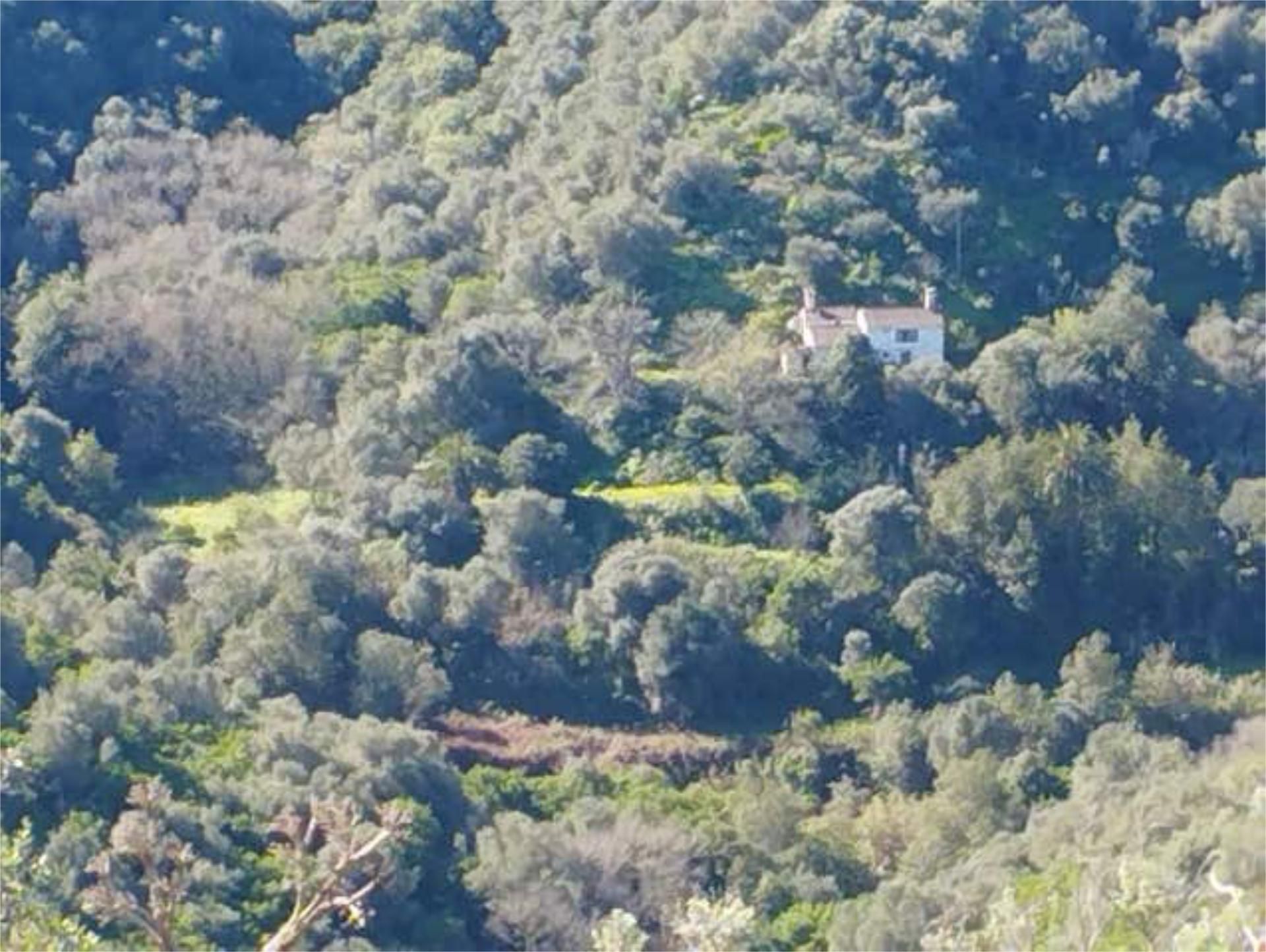Casa o xalet en venda en Teror amb Calefacció, Jardí privat i Traster