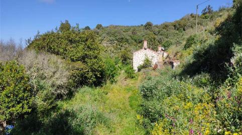 Casa o chalet en venta en San José del Álamo - El Hornillo, Teror - imagen 2 Foto 2 de Casa o chalet en venta en San José del Álamo - El Hornillo, Teror