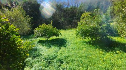 Casa o chalet en venta en San José del Álamo - El Hornillo, Teror - imagen 4 Foto 4 de Casa o chalet en venta en San José del Álamo - El Hornillo, Teror