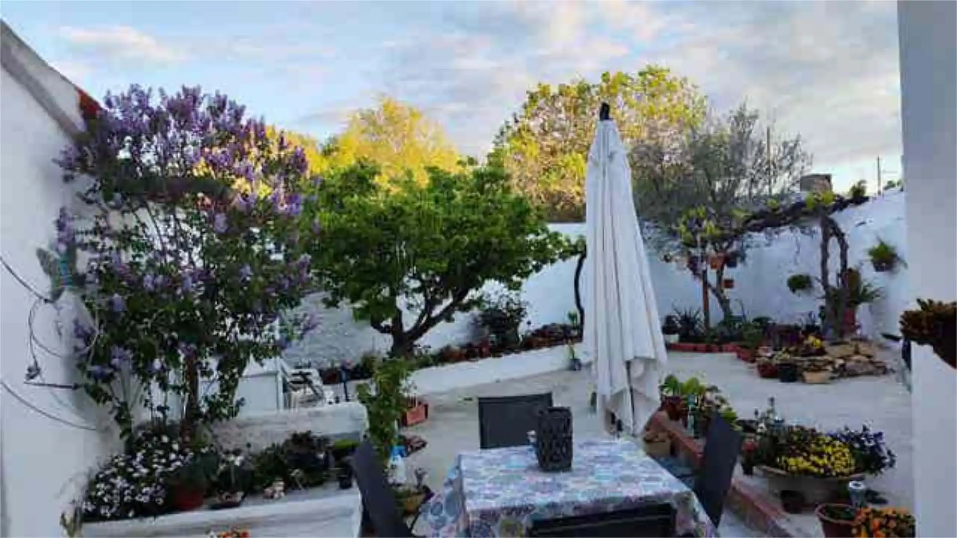 Casa o chalet en venta en Casas de Ves Terraza de Casa o chalet en venta en Casas de Ves con Jardín privado y Amueblado