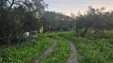 Foto 4 de Casa o chalet en venta en Calle Sierra Mágina, 83, Sanlúcar la Mayor, Sevilla