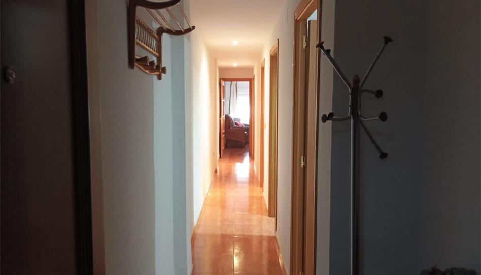 Piso de alquiler en Calle Catedrático Antonio Silva, Nº4, Centro, Cáceres Capital - imagen 1 Foto 1 de Piso de alquiler en Calle Catedrático Antonio Silva, Nº4, Centro, Cáceres Capital