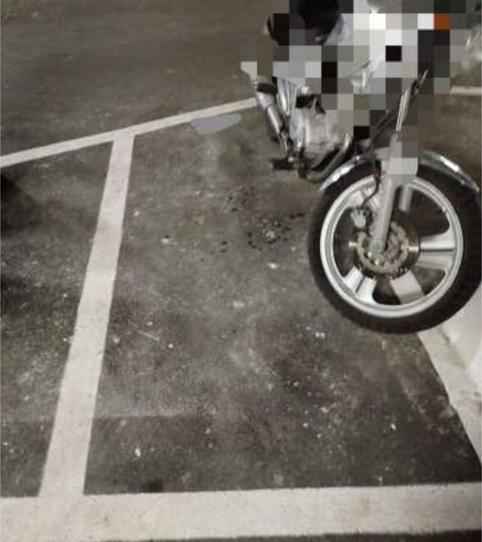 Foto 2 de Garaje de alquiler en Bajamar, San Cristóbal de la Laguna