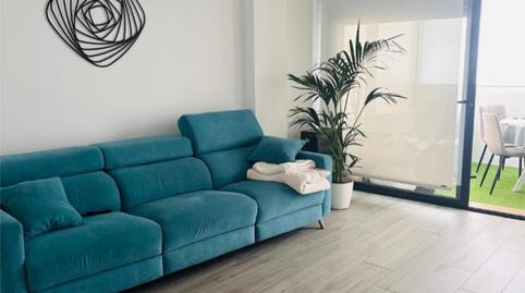 Piso en venta en Carrer Callosa, 8, Los Secanos, Guardamar del Segura - imagen 3 Foto 3 de Piso en venta en Carrer Callosa, 8, Los Secanos, Guardamar del Segura