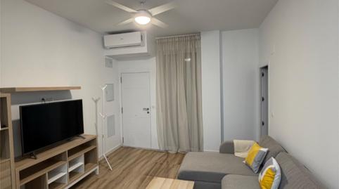 Apartment for rent in Calle Juan de Gortz, 1, Huerta de la Reina - Trassierra, Córdoba Capital - image 3 Photo 3 of Apartment for rent in Calle Juan de Gortz, 1, Huerta de la Reina - Trassierra, Córdoba Capital