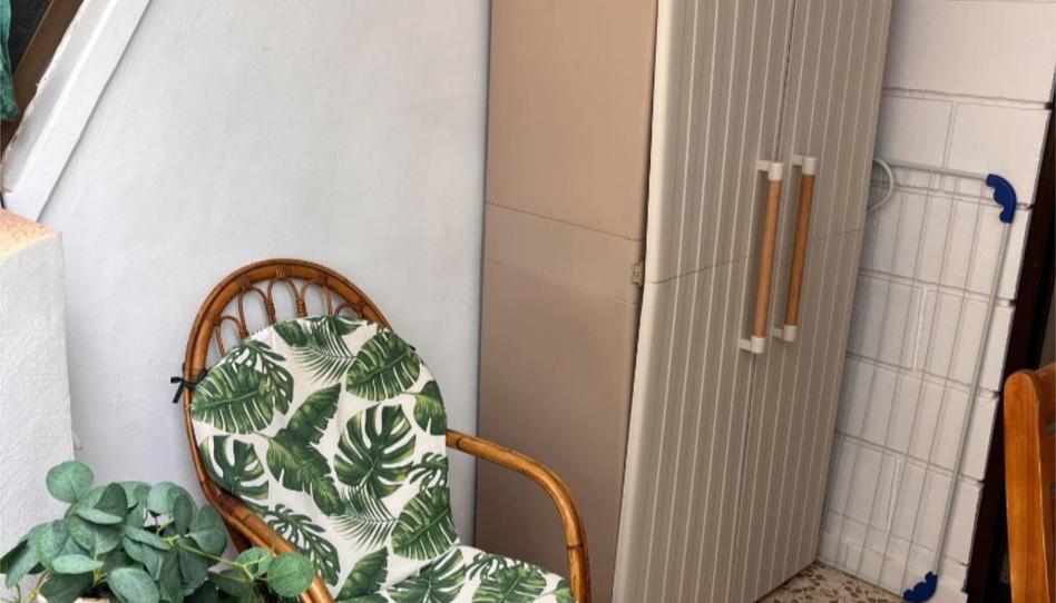 Flat for rent in Avenida de las Sirenas, 10, Miramar - Torre del Moro, Torrevieja - image 1 Photo 1 of Flat for rent in Avenida de las Sirenas, 10, Miramar - Torre del Moro, Torrevieja