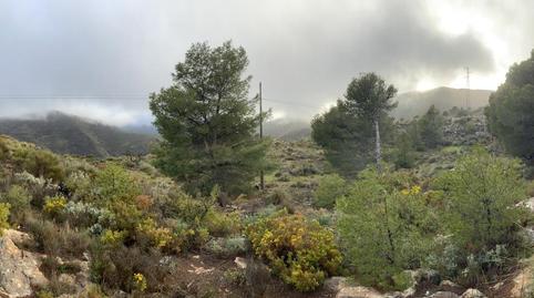 Foto 4 de Casa o chalet en venta en Avenida de la Cruz, 3, Enix, Almería