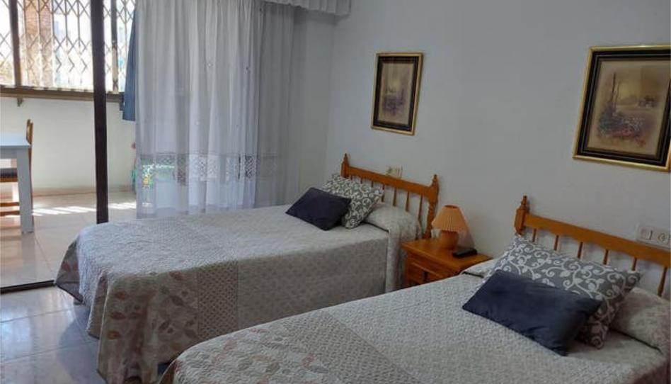 Wohnungen zur Miete in Centro Urbano, Benidorm - Bild 1 Foto 1 von Wohnungen zur Miete in Centro Urbano, Benidorm