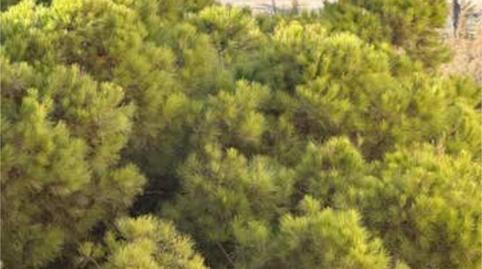 Photo 4 of Flat for sale in V Centenario - Piletas - Capuchinos, Sanlúcar de Barrameda