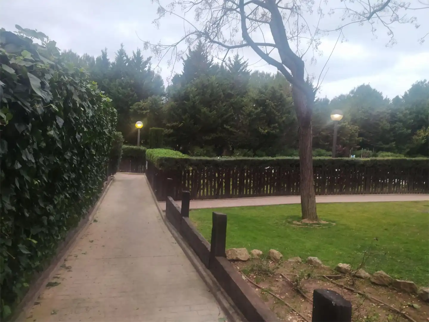 Jardí de Planta baixa en venda en  Palma de Mallorca amb Aire condicionat, Calefacció i Jardí privat