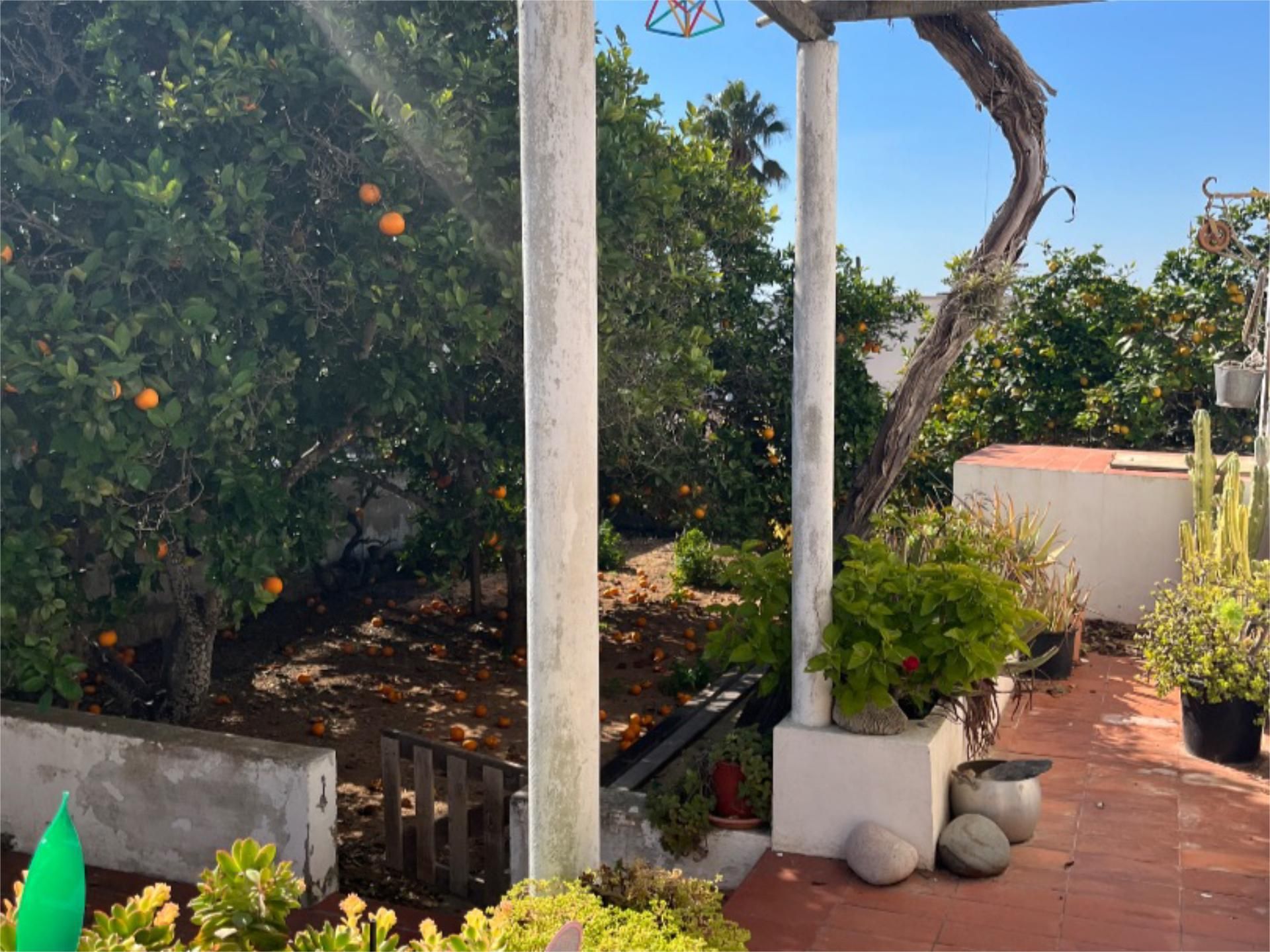 Pis en venda a Carrer del Pingüí, 7, Jesús Jardí de Pis en venda en Santa Eulària des Riu amb Terrassa