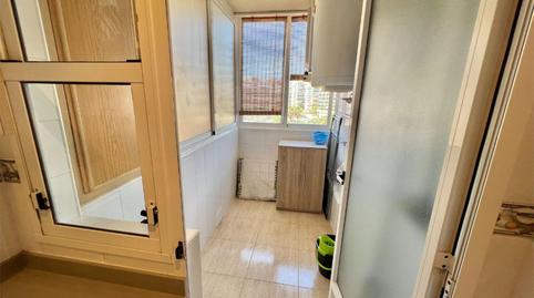 Foto 5 de Pis de lloguer a Avenida de Ansaldo, 3, Albufereta, Alicante / Alacant