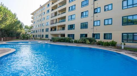 Planta baja for rent in Carrer de Juan Gris, 15, Son Cotoner, Palma de Mallorca - image 4 Photo 4 of Planta baja for rent in Carrer de Juan Gris, 15, Son Cotoner, Palma de Mallorca