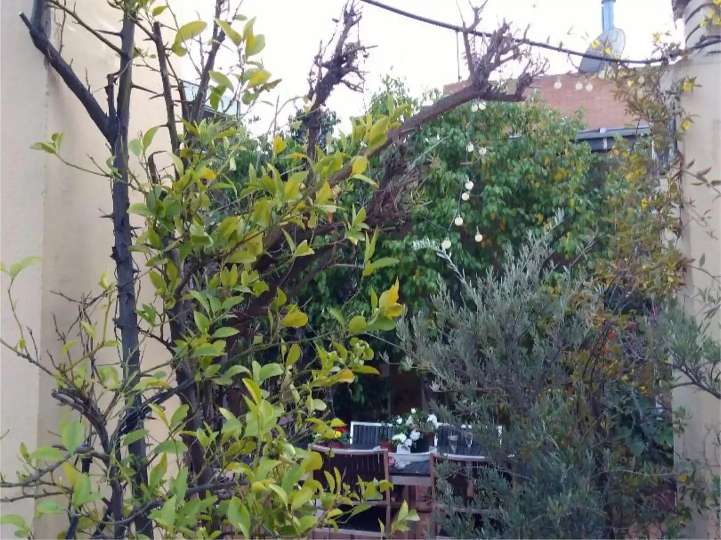 Garden of Flat for sale in Sevilla  with Air Conditioner, Terrace and Storage room