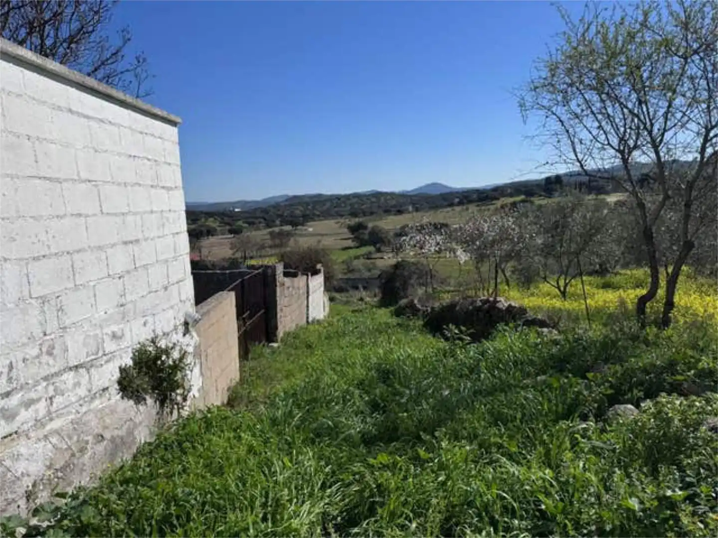 Houses for sale in Belmez