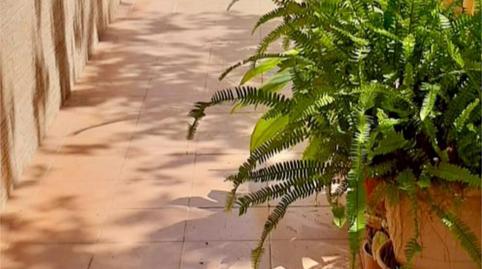 Photo 4 of House or chalet for sale in Alameda Otonel, 2, Cortes de Pallás, Valencia