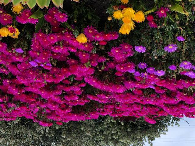 Trastero en Alquiler en Carrer Estrasburg, s/n en Urbanitzacions