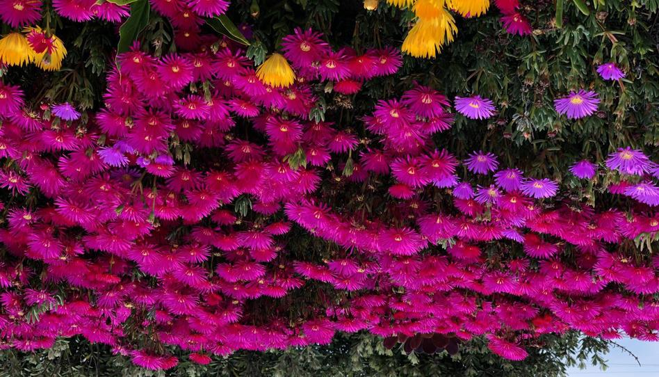 Trastero de alquiler en Carrer Estrasburg, S/n, Urbanitzacions, Mataró - imagen 1 Foto 1 de Trastero de alquiler en Carrer Estrasburg, S/n, Urbanitzacions, Mataró