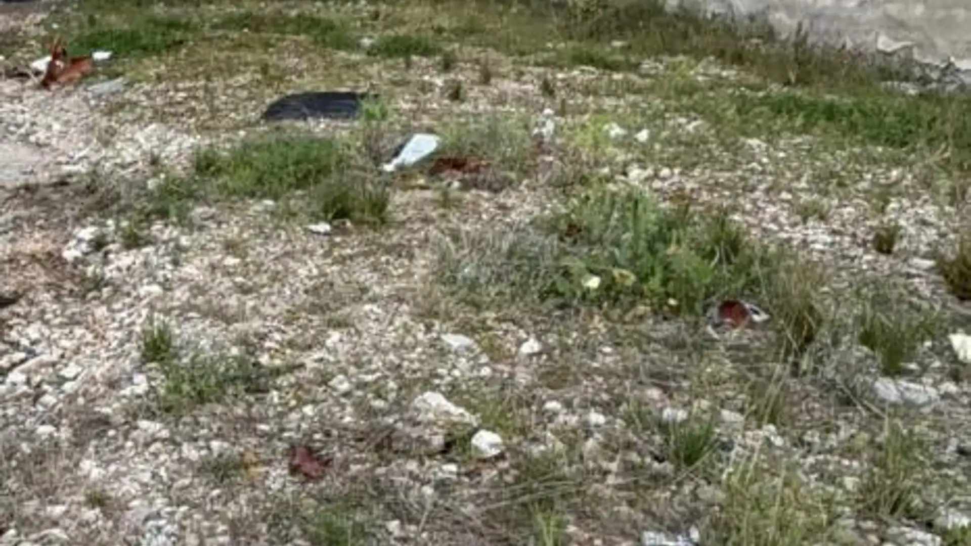 Terreno en venta en Alberic