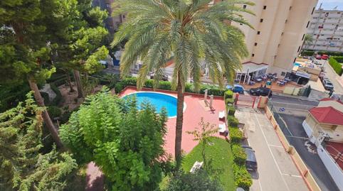 Piso de alquiler en Calle de Amsterdam, 3, Rincón Alto, Benidorm - imagen 4 Foto 4 de Piso de alquiler en Calle de Amsterdam, 3, Rincón Alto, Benidorm