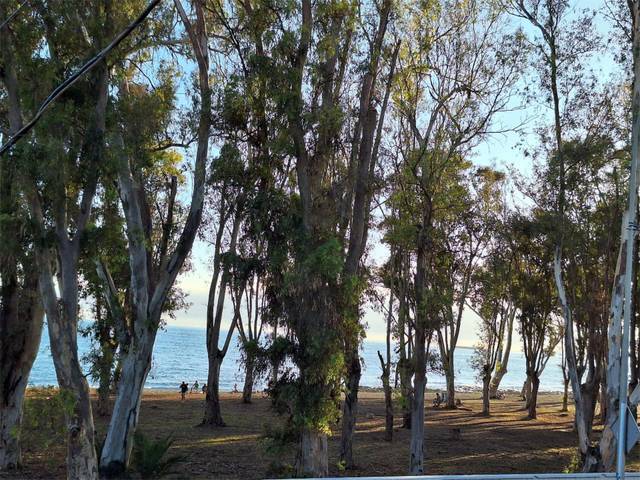 Piso en Alquiler en Calle Bolivia, 61 en Pedregalejo - Morlaco