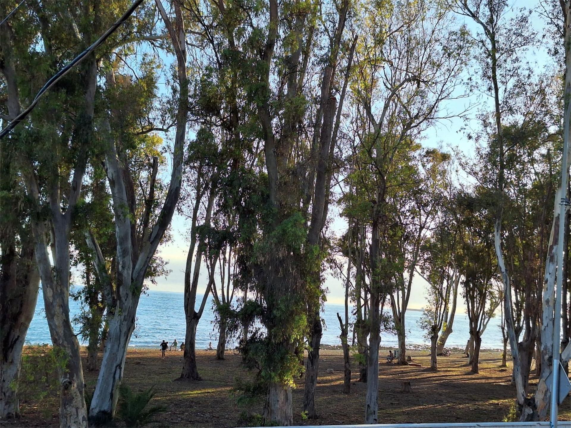 Exterior view of Flat for rent in Málaga Capital  with Air Conditioner, Heating and Furnished