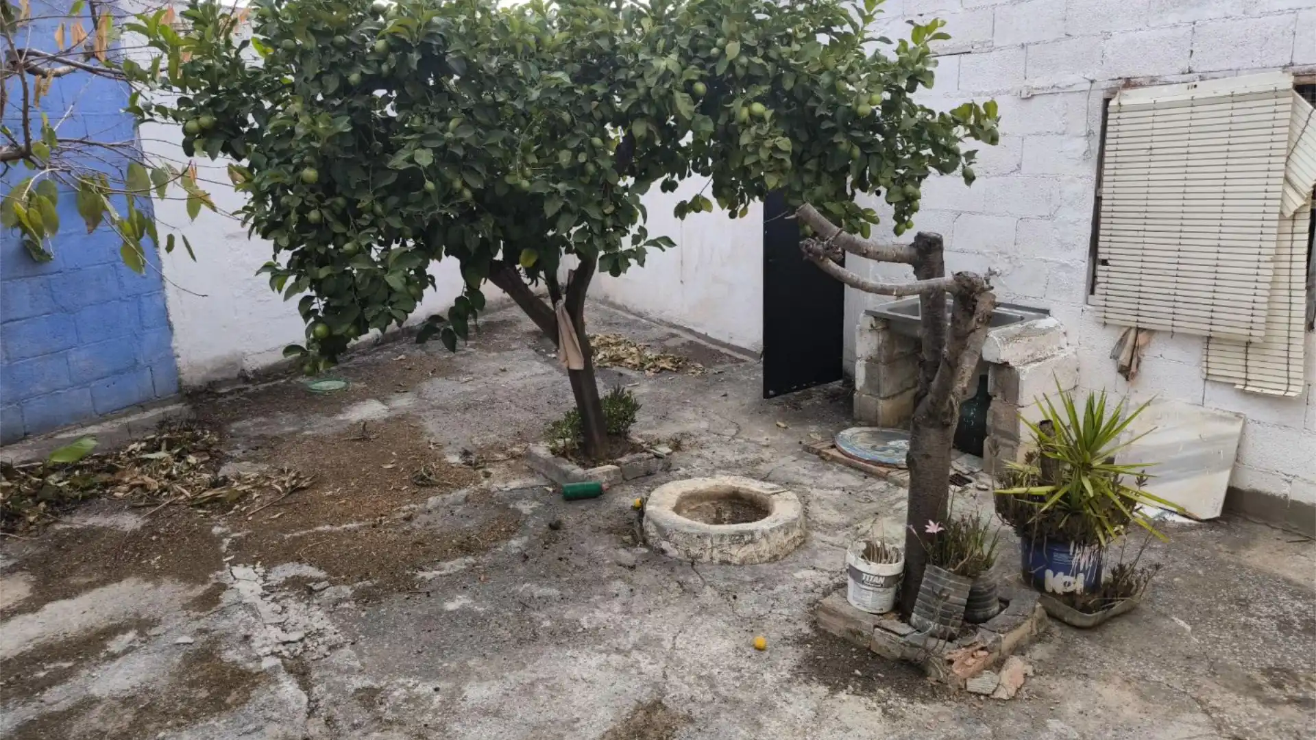 Jardín de Casa o chalet en venta en Moraleda de Zafayona con Jardín privado