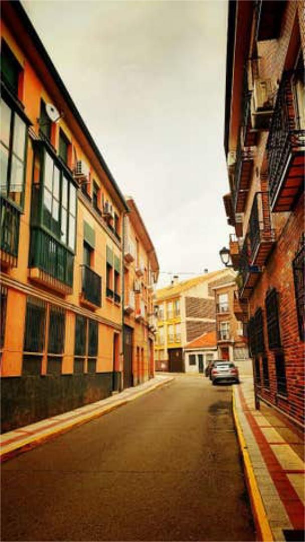 Flat for rent in Centro