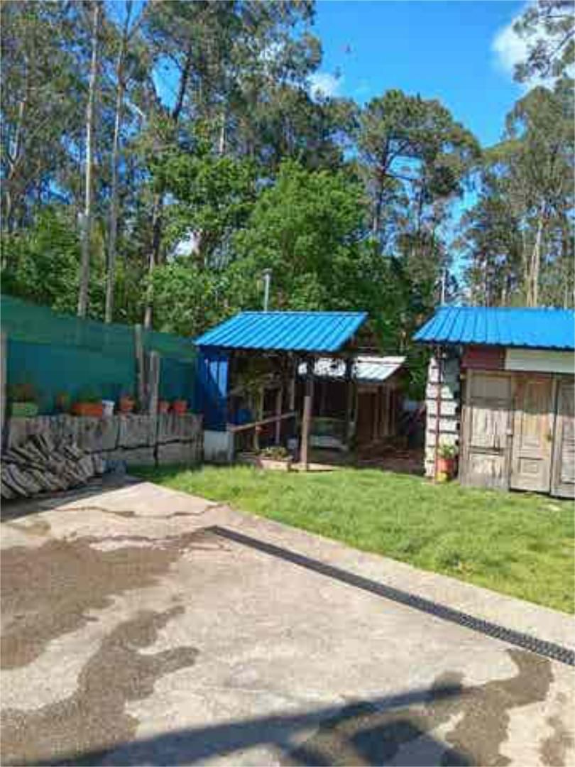 Garden of Industrial buildings for rent in Gondomar
