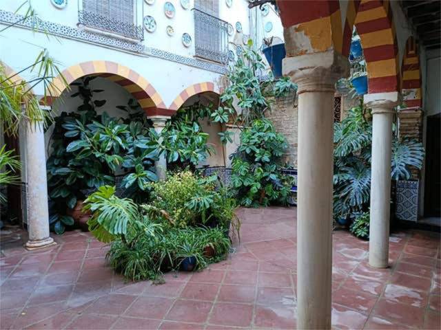 Apartamento en Alquiler en Casco Histórico  - Ribera - San Basilio