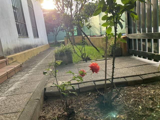 Casa-chalet en Alquiler en Calle Algazul, 1 en Almensilla