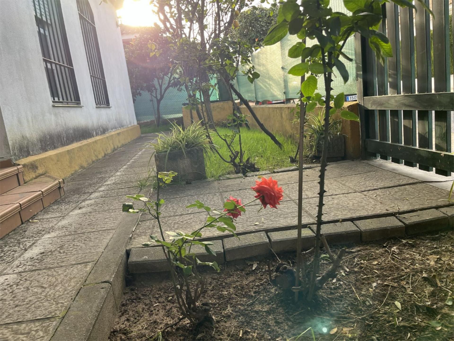 Casa o chalet de alquiler en Calle Algazul, 1, Almensilla