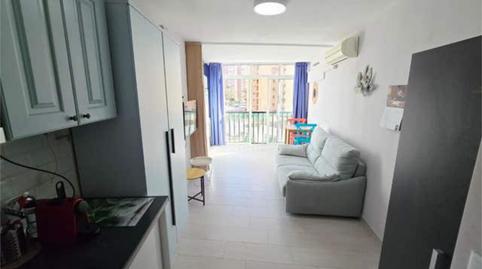 Photo 3 of Study for sale in Juzgados - Plaza de Toros, Benidorm