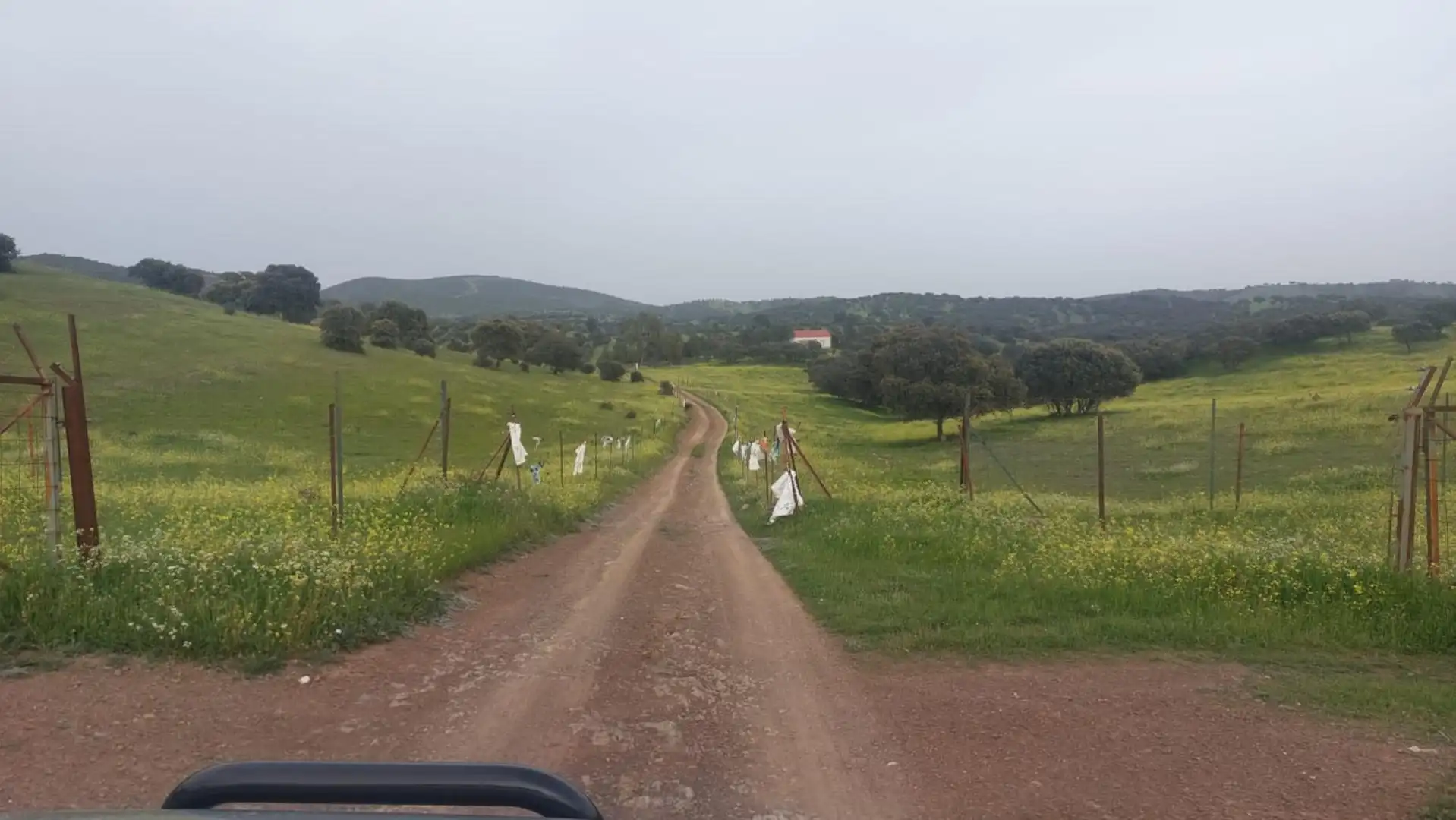 Land for sale in Calle Miguel Hernandez, 23, Aldeaquemada Land for sale in Aldeaquemada