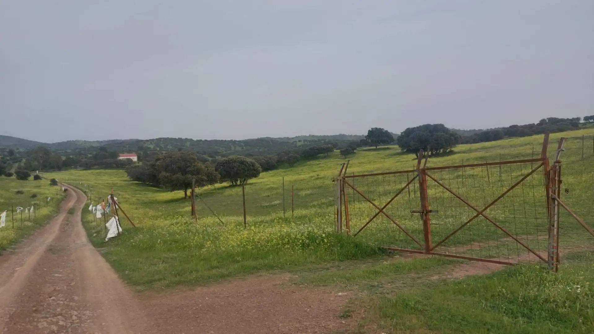 Land for sale in Calle Miguel Hernandez, 23, Aldeaquemada Land for sale in Aldeaquemada