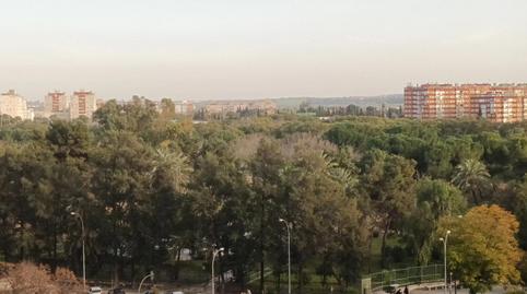 Pis de lloguer a Calle Amor, 29, Sta. Aurelia - Cantábrico - Atlàntico - La Romería, Sevilla Capital - imatge 2 Foto 2 de Pis de lloguer a Calle Amor, 29, Sta. Aurelia - Cantábrico - Atlàntico - La Romería, Sevilla Capital