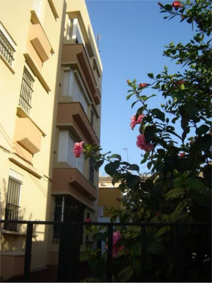 Vista exterior de Apartamento de alquiler en Sanlúcar de Barrameda con Calefacción, Amueblado y Se aceptan mascotas