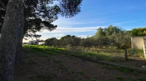 Country house zum Verkauf in Camino la Matanza, 6, San Isidro - Campohermoso, Níjar - Bild 5 Foto 5 von Country house zum Verkauf in Camino la Matanza, 6, San Isidro - Campohermoso, Níjar
